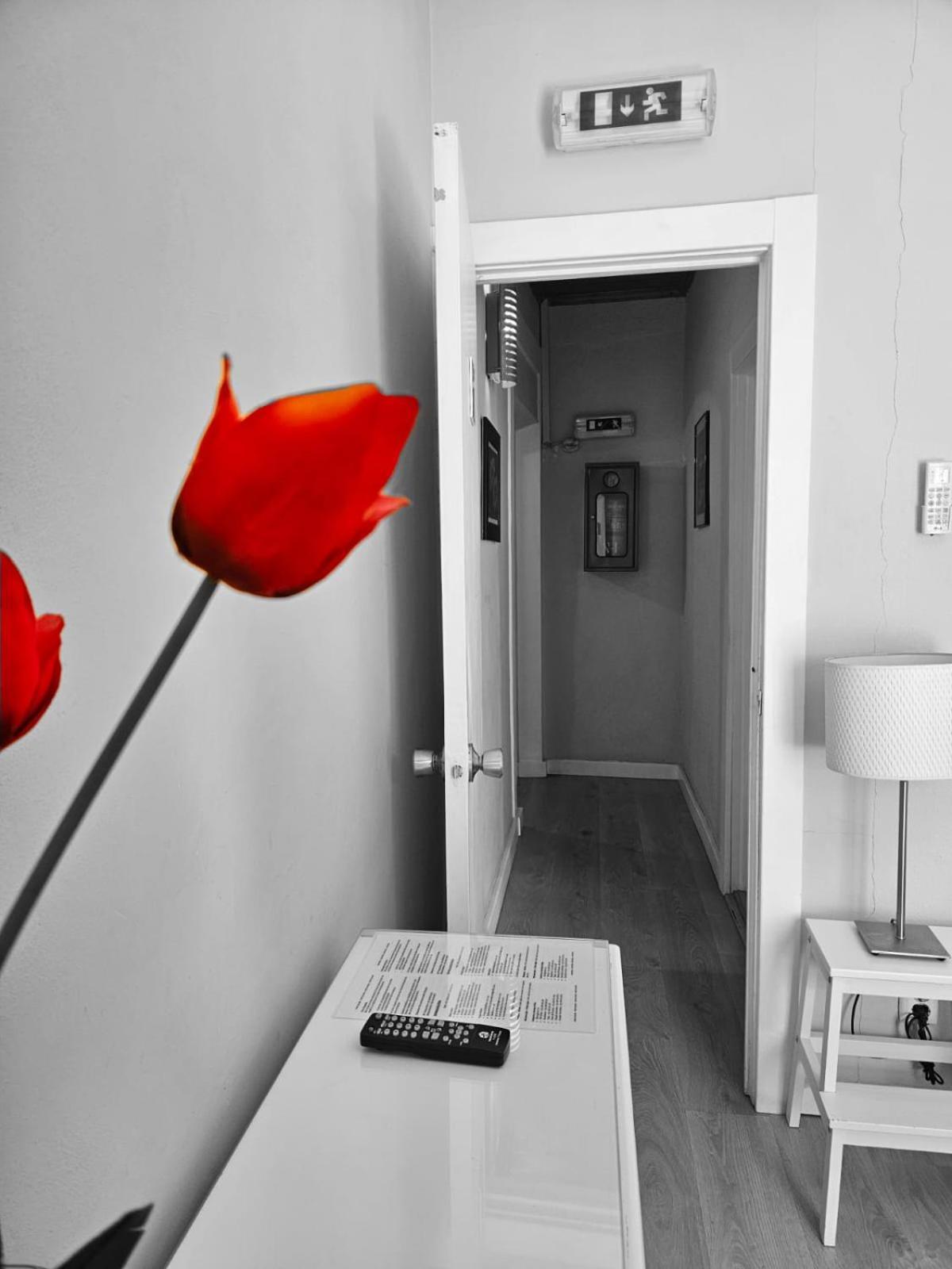 Alcamim Guesthouse Elvas Luaran gambar